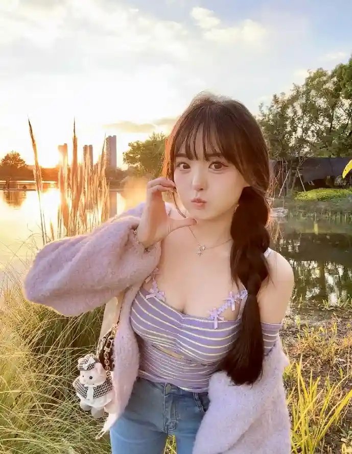 浏览器下载器数据传输示意图